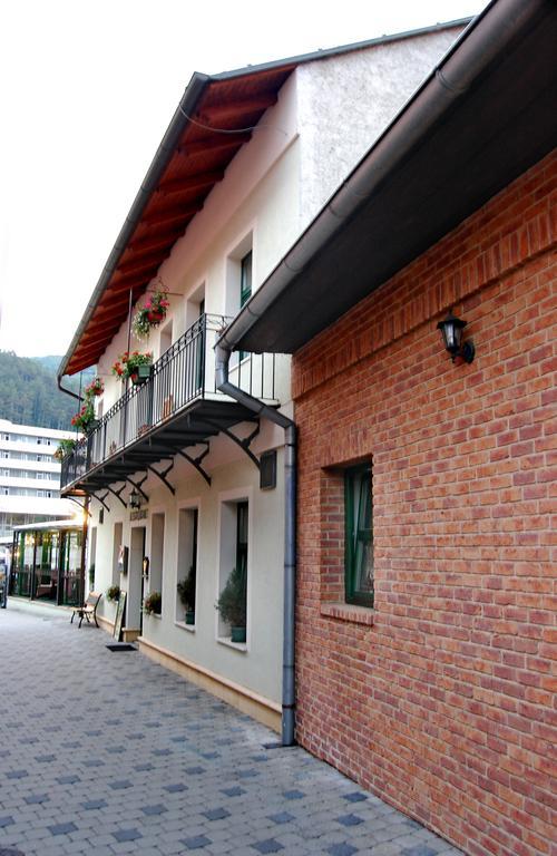 Penzion Zuzi Trenčianske Teplice Extérieur photo